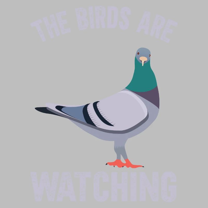 Les oiseaux observent