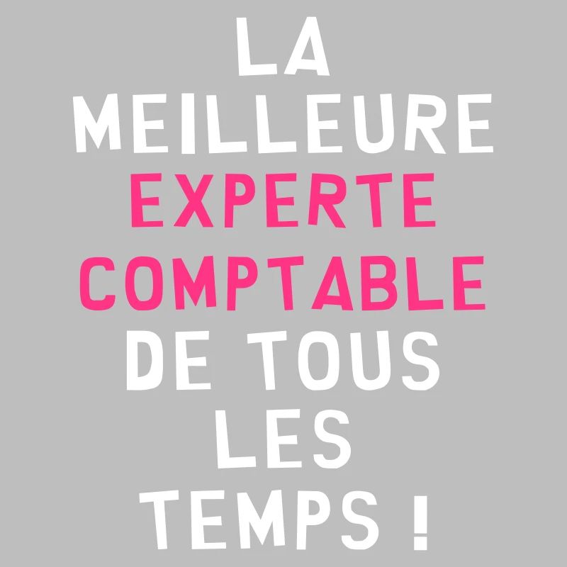 Expert Comptable / Comptabilité / Comptable /