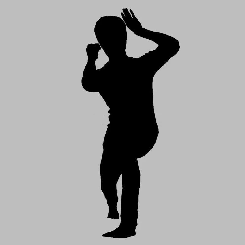 Bruce Lee Shadow Biu Da