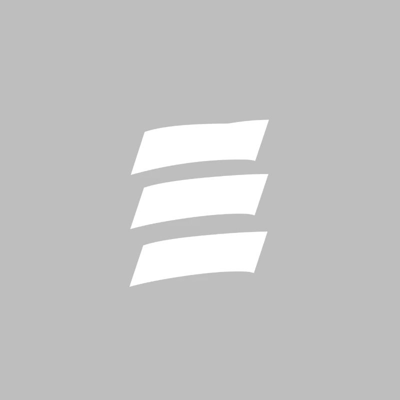 Logo chinois « E »