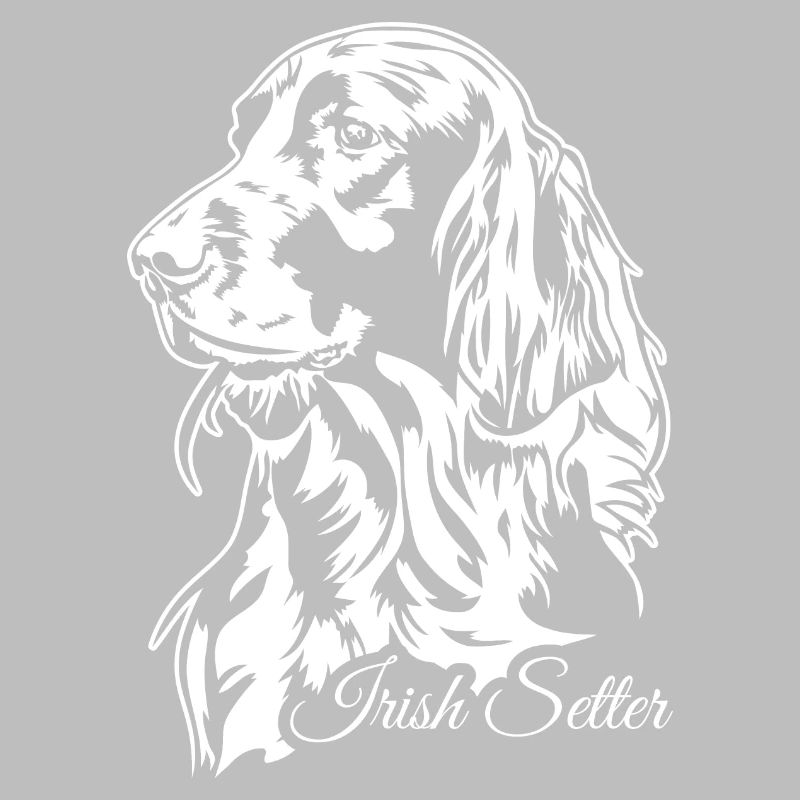 Setter irlandais Chien de chasse Chiens de chasse Chiens Wilsigns