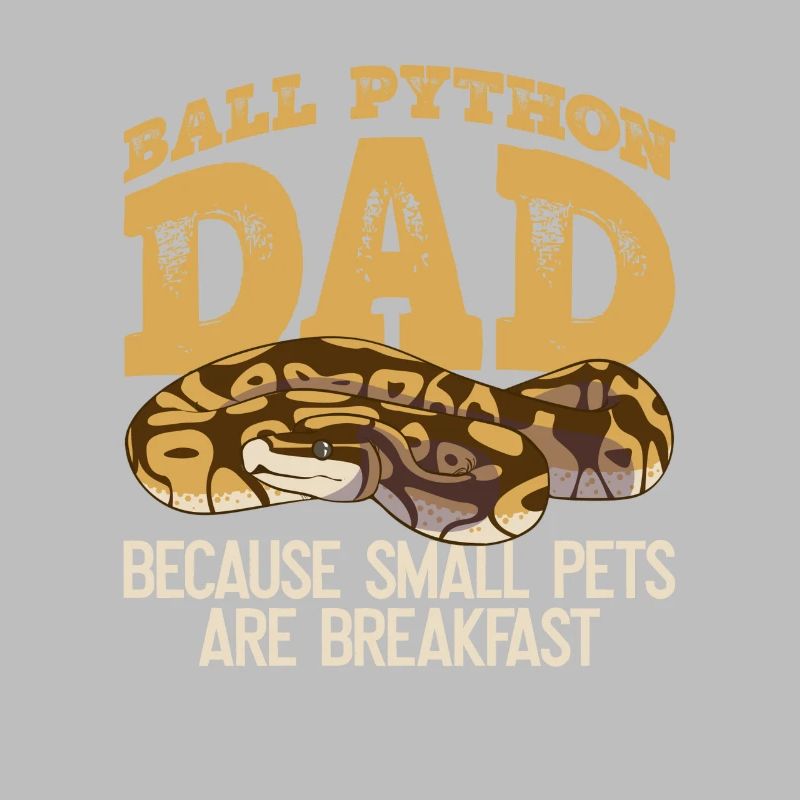 Banana Ball Python Papa Königspython Besitzer