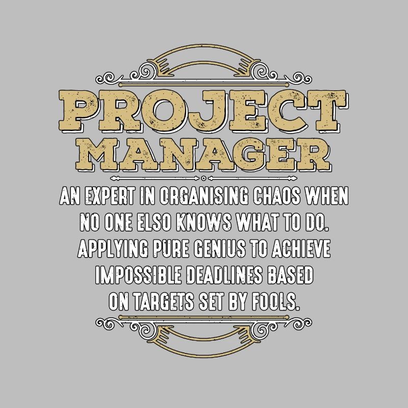 Chef de projet Un expert en gestion de projet
