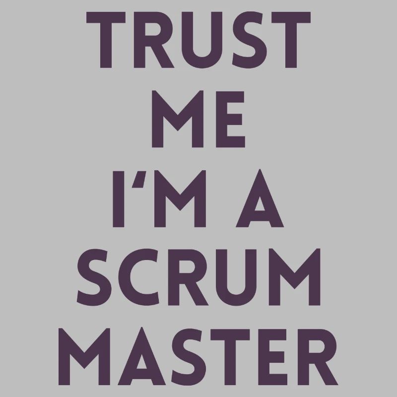 Trust me I’m a scrum master cadeau code ordinateur