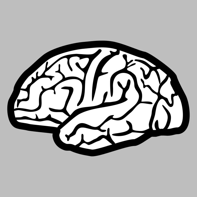 Brain