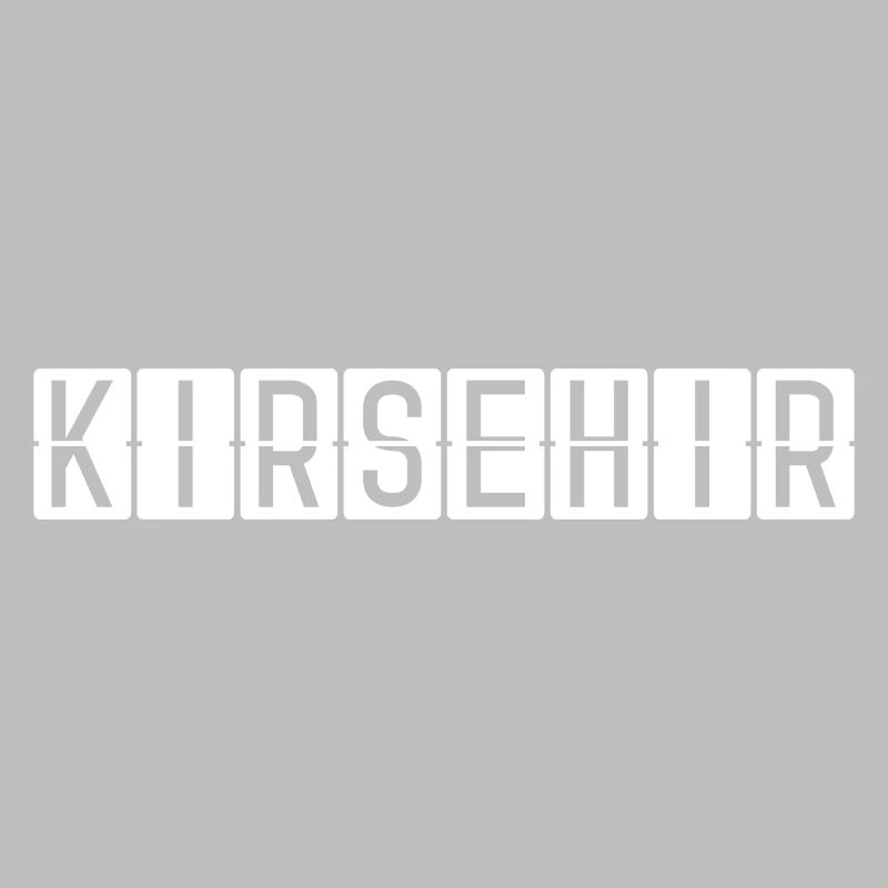 Conseil d’administration de l’aéroport de Kırşehir