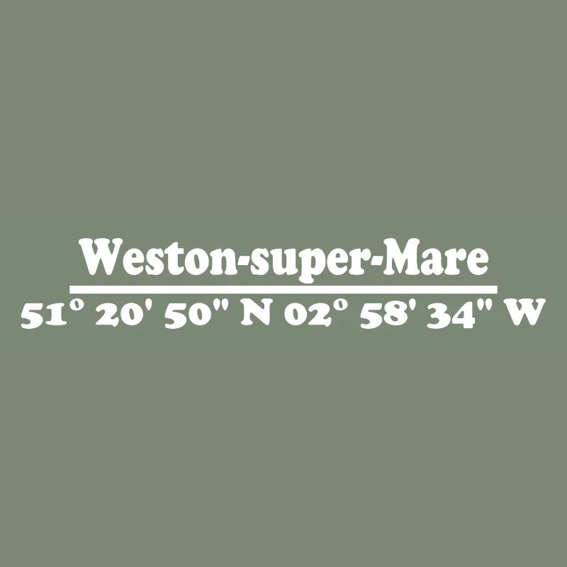 Weston-super-Mare coordinates