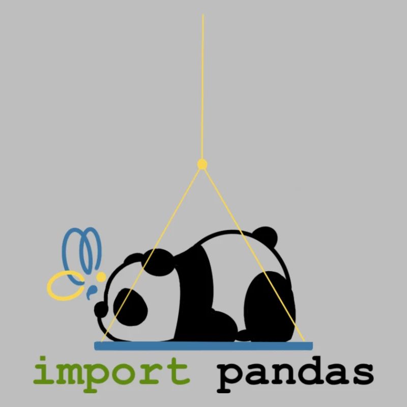 Python Jokes Import Pandas Programming