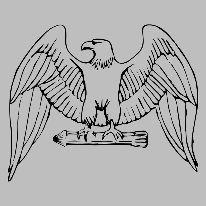 aigle