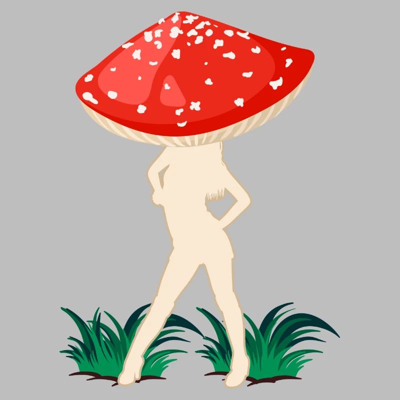 champignons mouche agaric fée mouche agaric cueilleur de champignons agaric