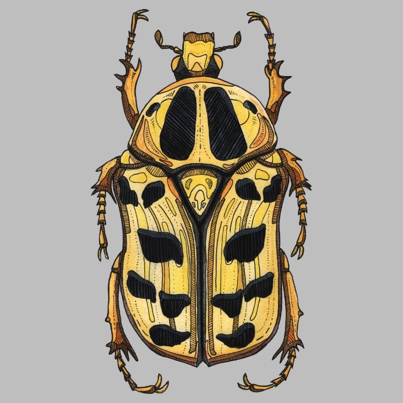 Big Beetle Stag - cerf géant