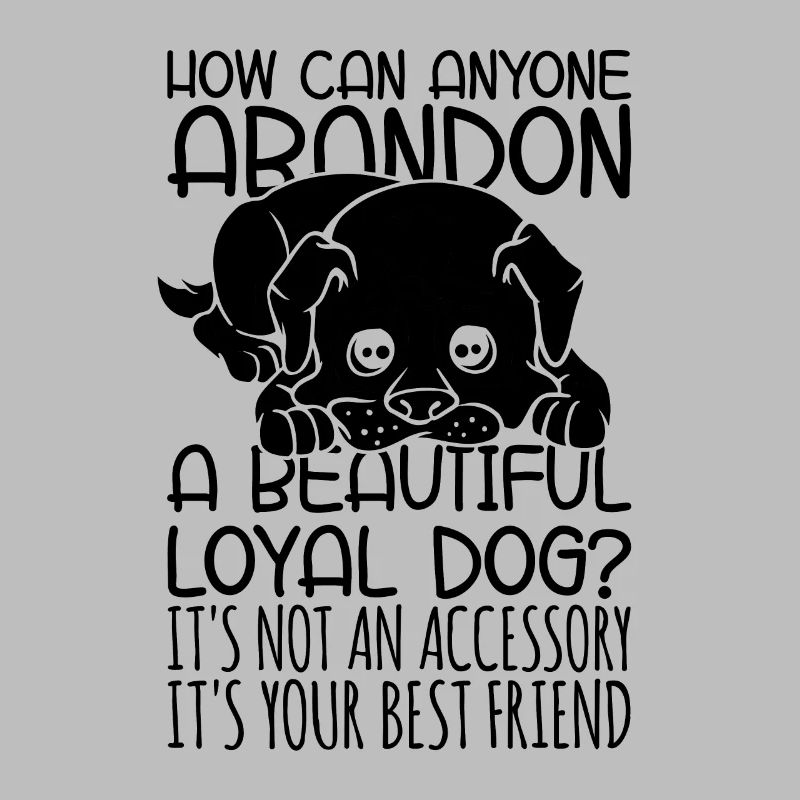 How Can Anyone Abandoned Pets Adopt Animal Lover