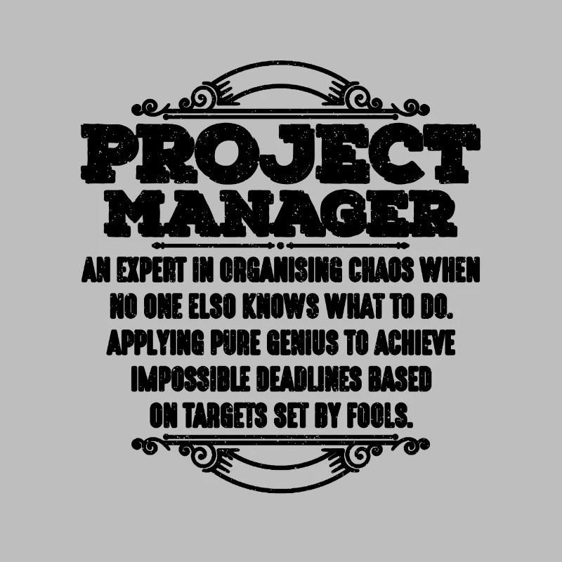 Project Manager An Expert In Project Team Leader