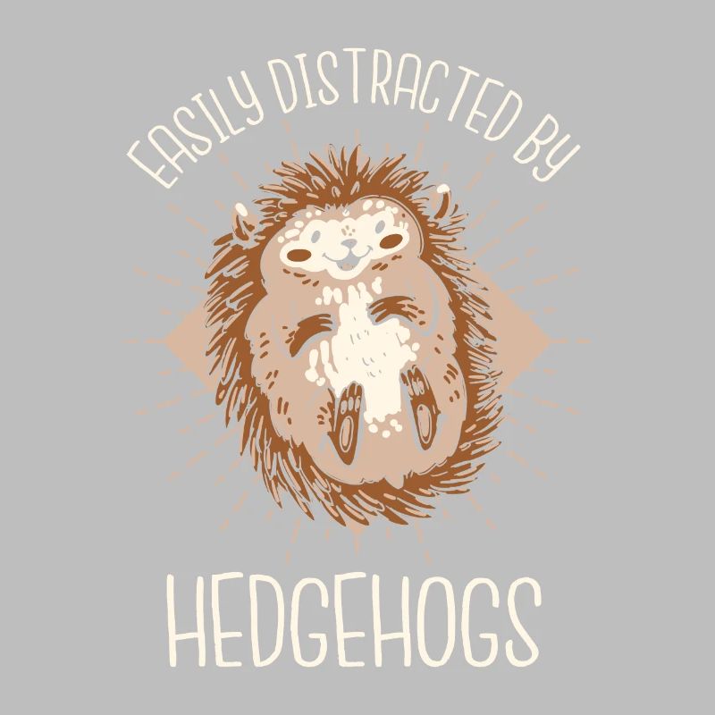 Igel Stachelig Tier Igel