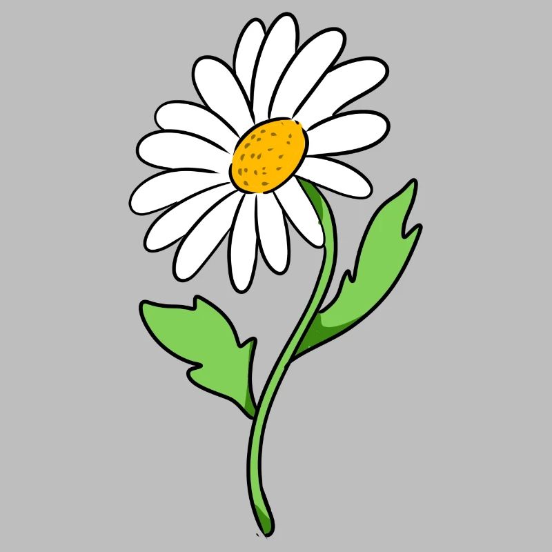 Gänseblümchen