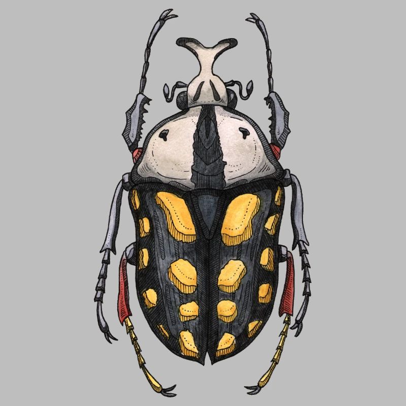 Big Beetle Stag - cerf géant
