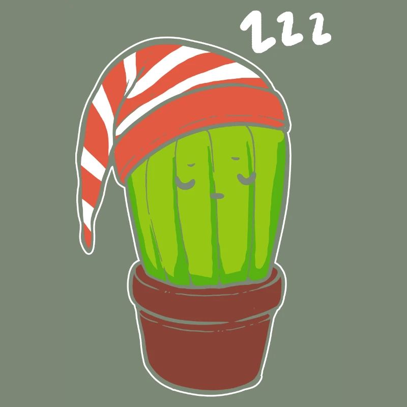 Sleeping Cactus Hyperomnia Gift