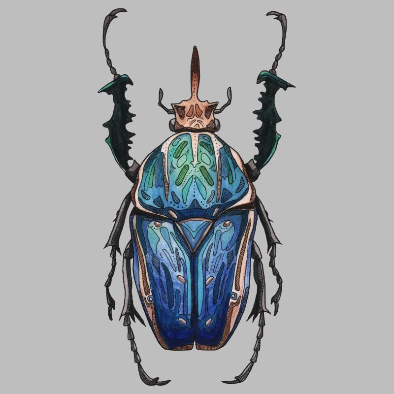 Big Beetle Stag - cerf géant