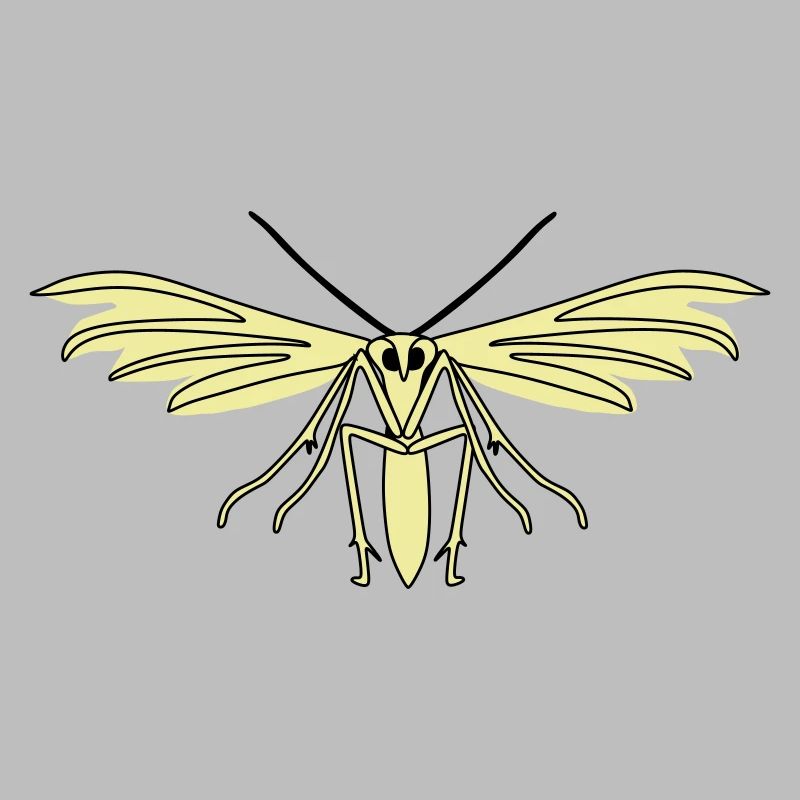 Feather moth
