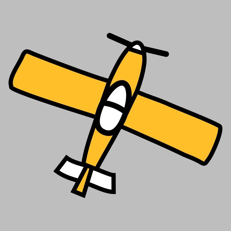 Airplane Design