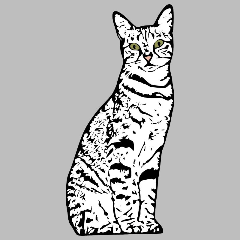 Chat blanc Chat Chat blanc Cadeau