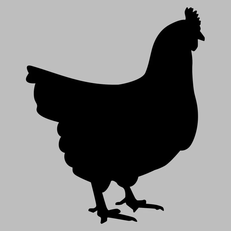 Poule