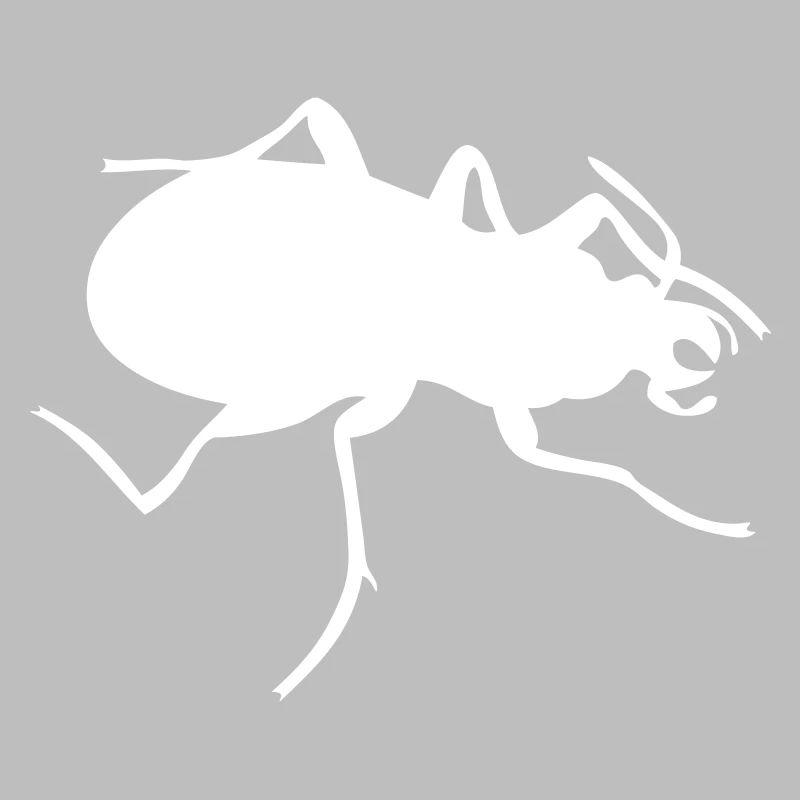 Bug