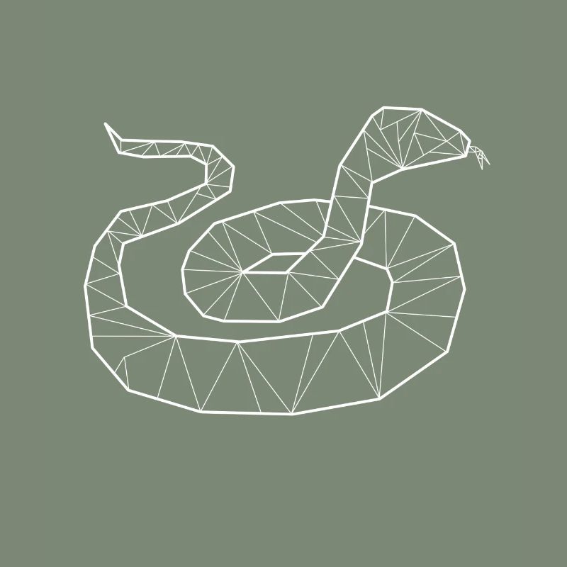 Python geometrische