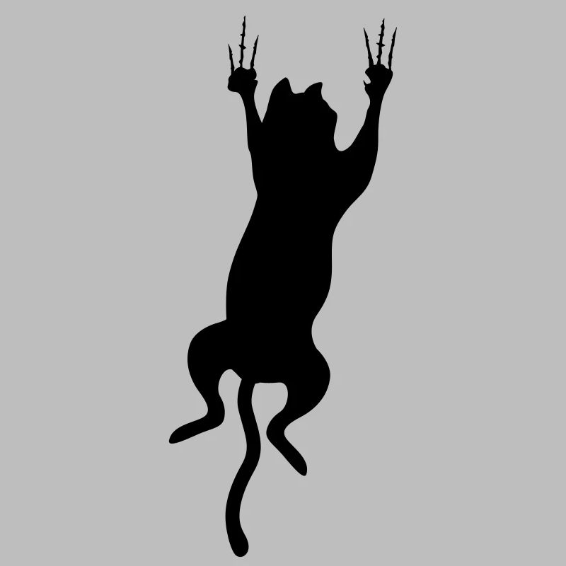cat scratch