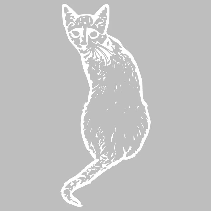 Chat Blanc Blanc Chats Chaton Mignon