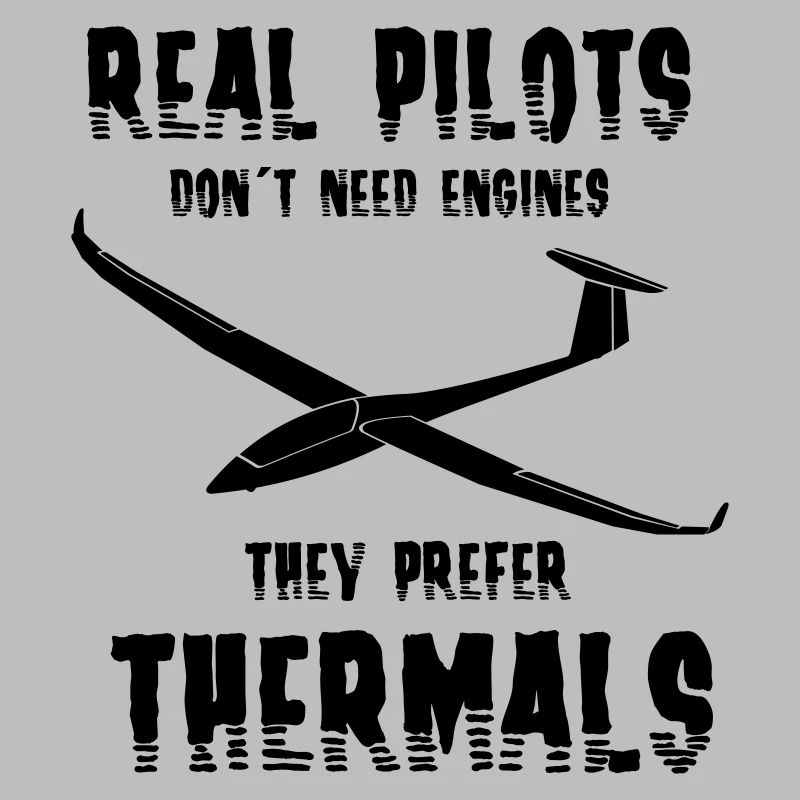 Glider glider flying glider pilot