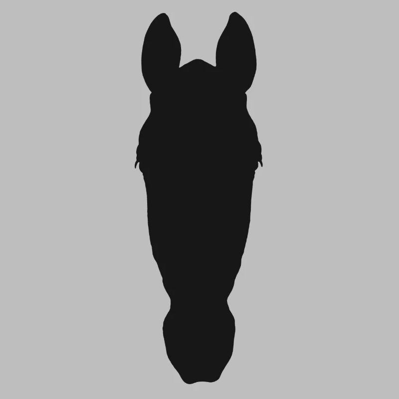 Pferdekopf frontale Silhouette