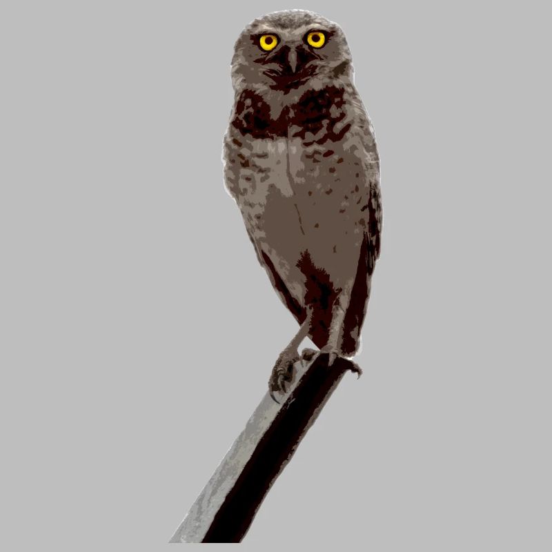 Die Eule