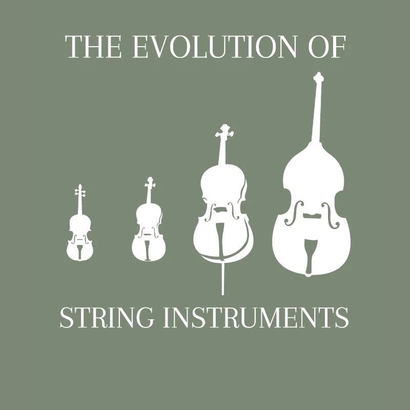 Kontrabass Spruch Streichinstrumente Evolution