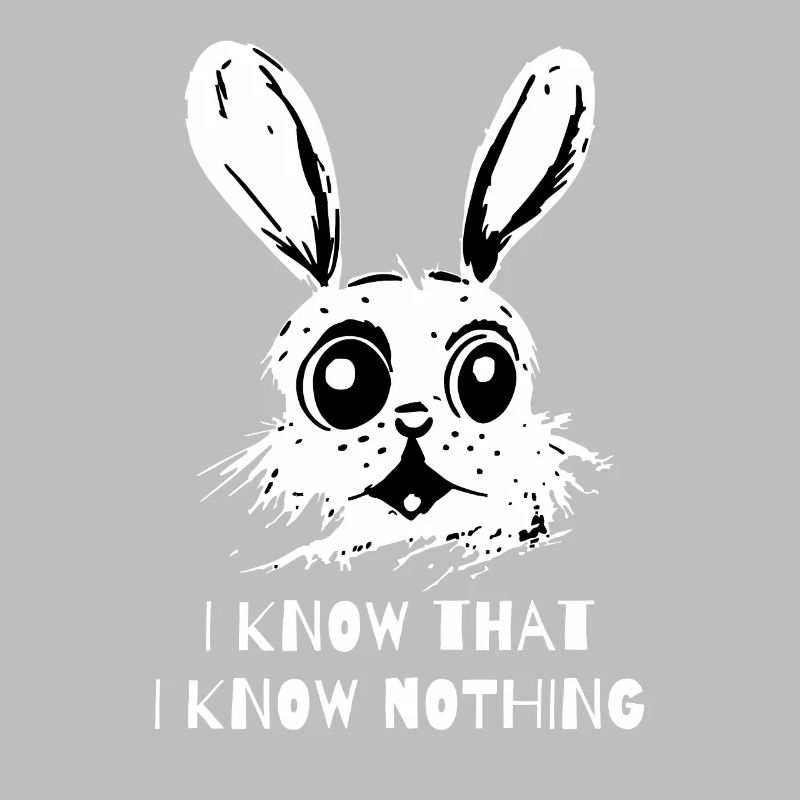 I Know That I Know Nothing - A Wise Rabbit