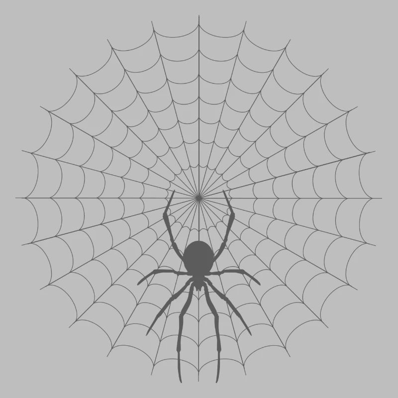 Silhouette de toile d’araignée