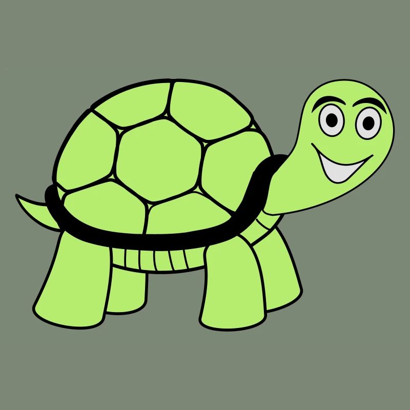 turtle