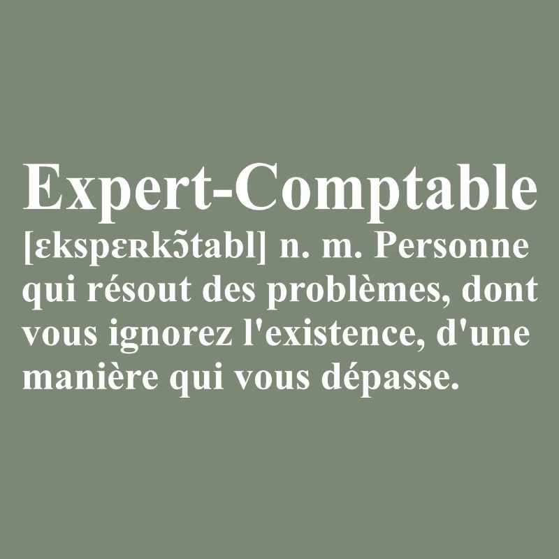 Expert-Comptable Définition