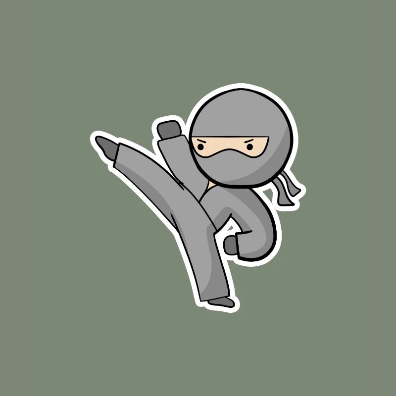 Ninja Kick