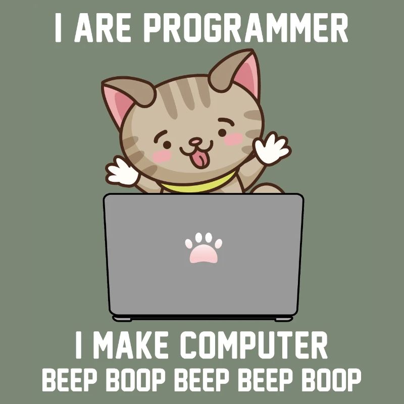 Programmer