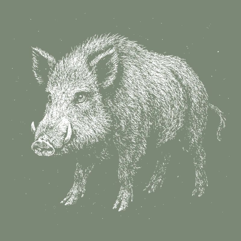 Wildschwein