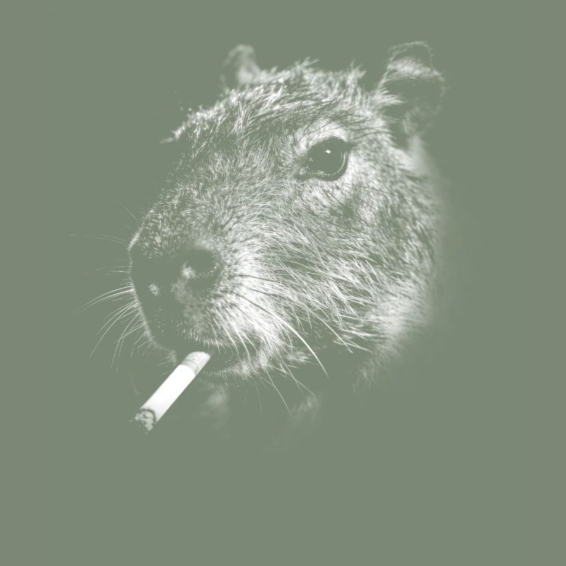 Smoking, cigarette, capybara smoking a cigarette