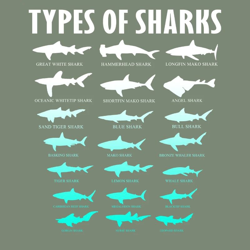 Types de requins Conception des requins d’océan | Chemise de requin