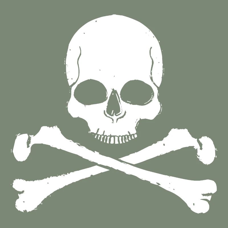 Skull Cross Pattern Skull