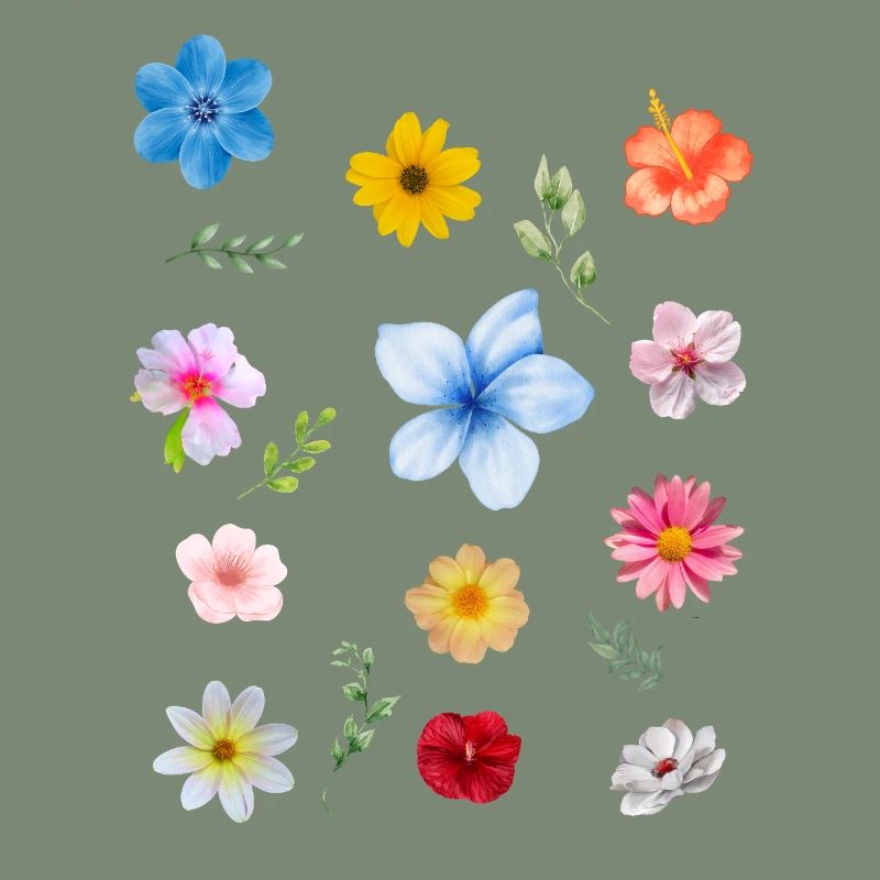 Spring is Coming