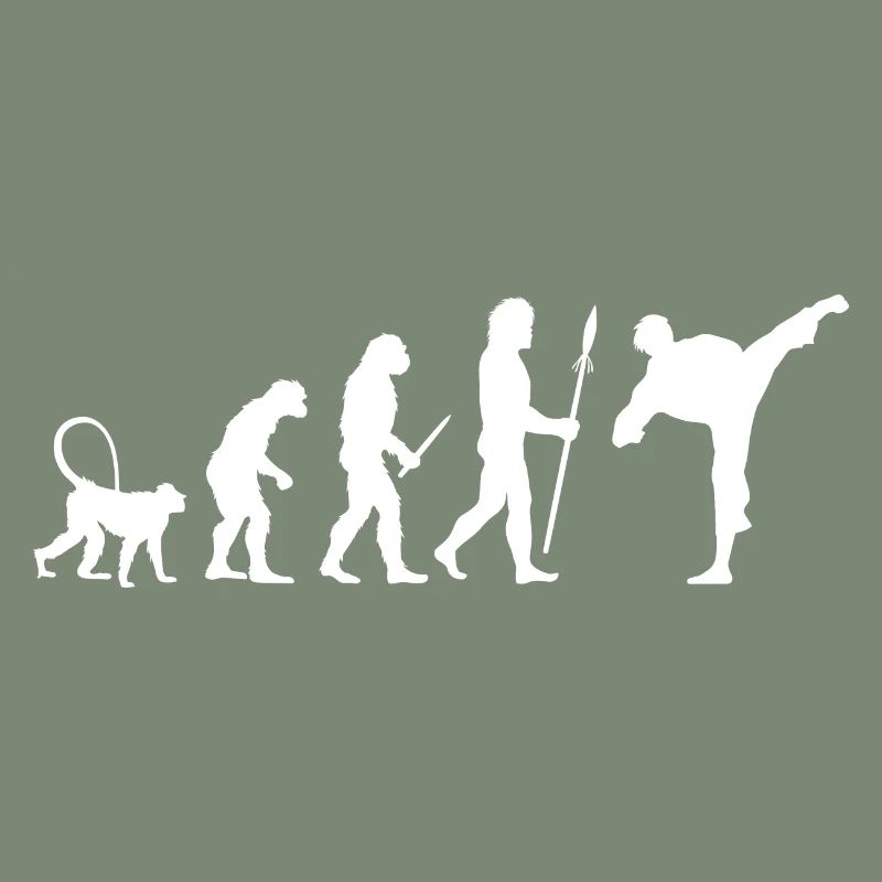 Évolution du karaté