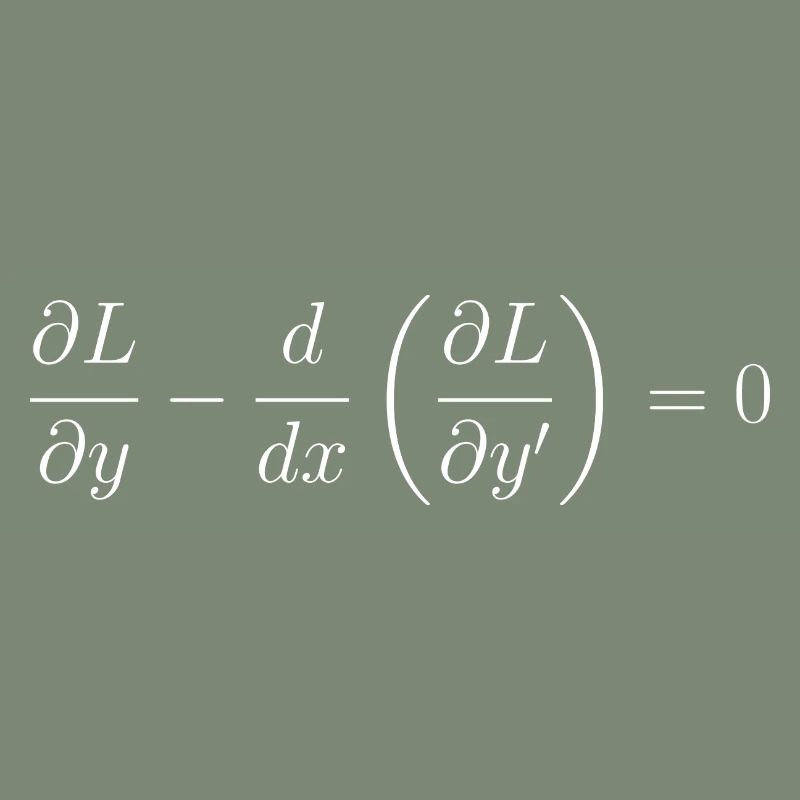 Euler-Lagrange-Gleichungsfundamentalphysik