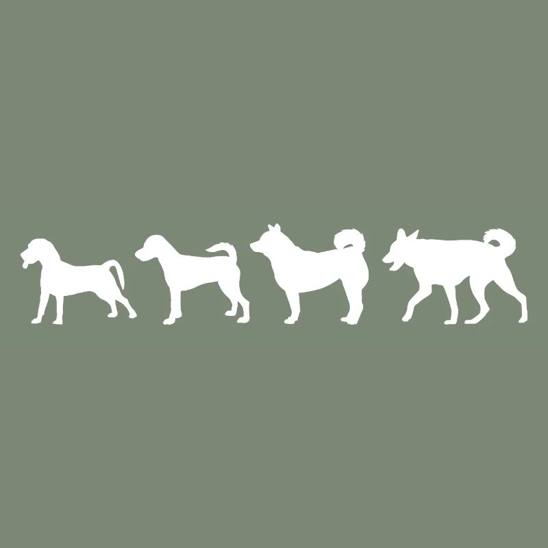 Évolution du chien