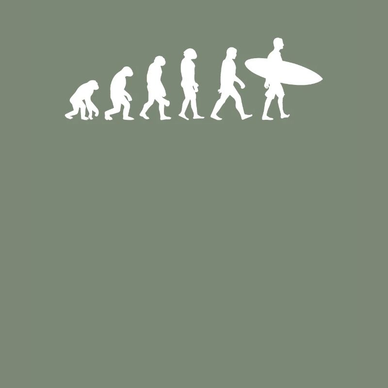 Évolution Du Surf