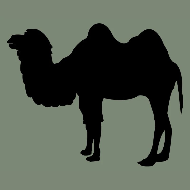 kamel
